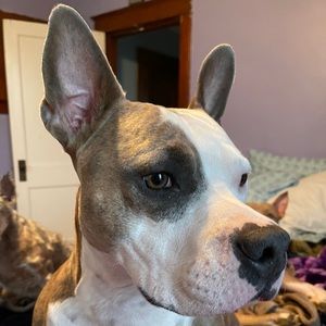 Meet your Posher, Eleni